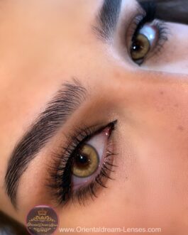 Diana Wimpern